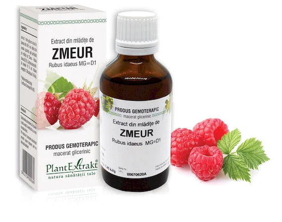 Extract din mlădiţe de Zmeur - Rubus idaeus, 50 ml