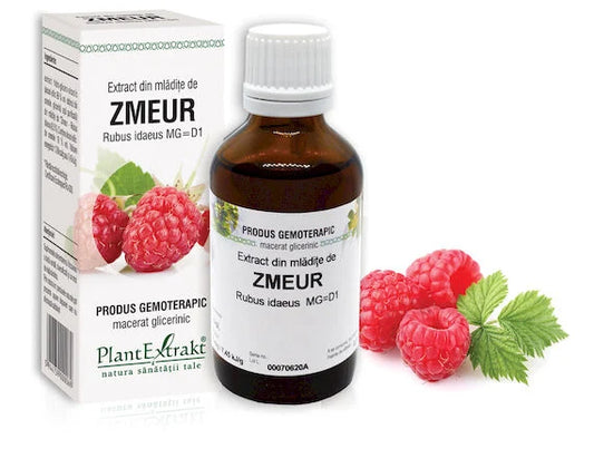 Extract din mlădiţe de Zmeur - Rubus idaeus, 50 ml