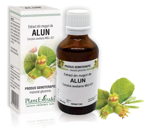 Extract din muguri de Alun - Corylus avellana MG=D1, 50 ml