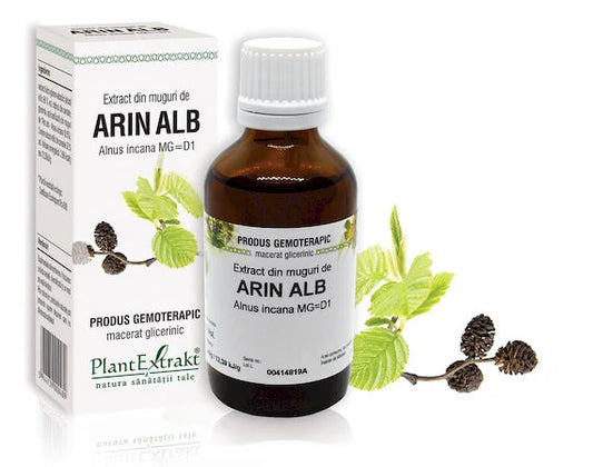 Extract din muguri de Arin alb - Alnus incana MG=D1, 50 ml