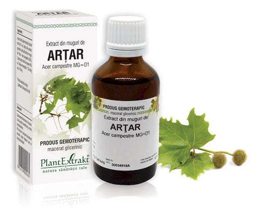 Extract din muguri de Arțar - Acer campestre MG=D1, 50 ml