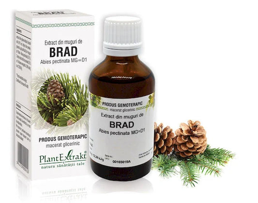 Extract din muguri de Brad - Abies pectinata, 50 ml