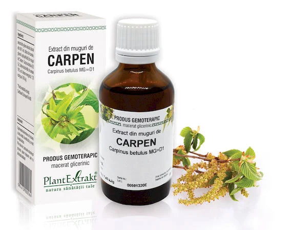 Extract din muguri de Carpen - Carpinus betulus MG=D1, 50 ml