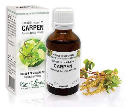 Extract din muguri de Carpen - Carpinus betulus MG=D1, 50 ml