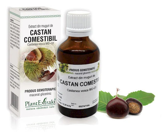 Extract din muguri de Castan comestibil - Castanea vesca MG=D1, 50 ml