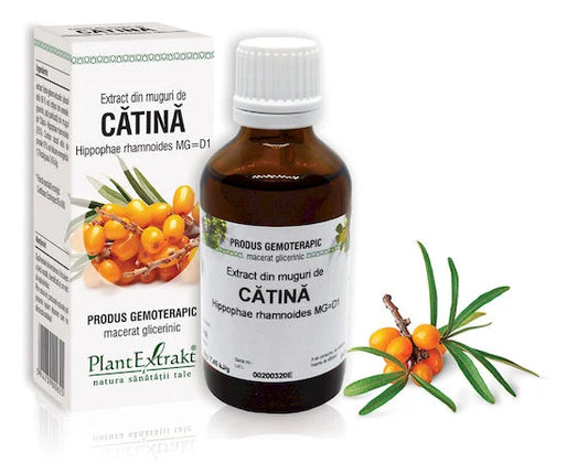 Extract din muguri de Cătină albă - Hippophae rhamnoides MG=D1, 50 ml