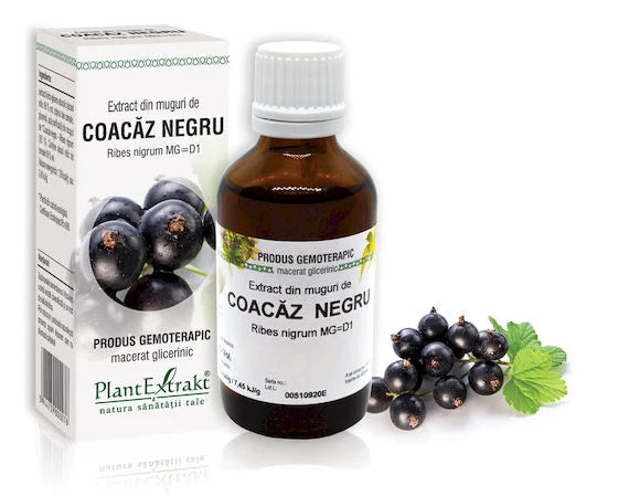 Extract din muguri de Coacăz negru - Ribes nigrum, 50 ml
