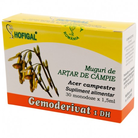 Muguri de artar de câmpie - Gemoderivat