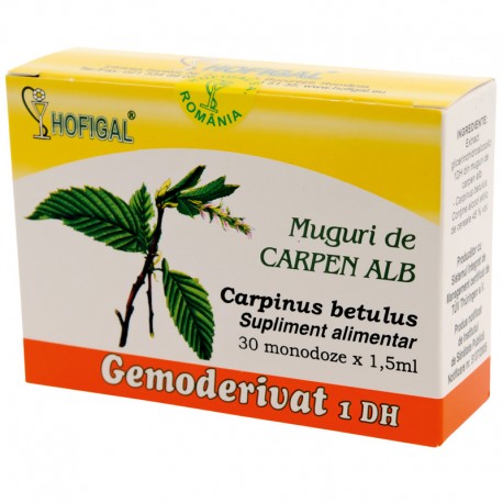 Muguri de carpen alb - Gemoderivat