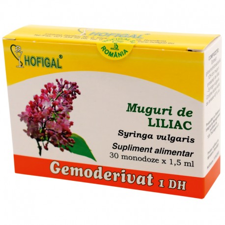 Muguri de liliac - Gemoderivat