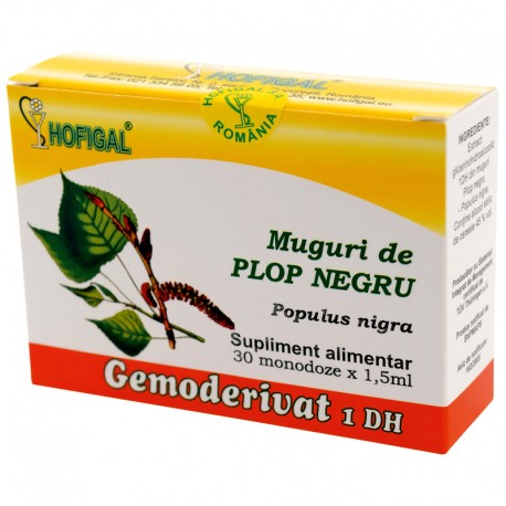 Muguri de plop negru - Gemoderivat