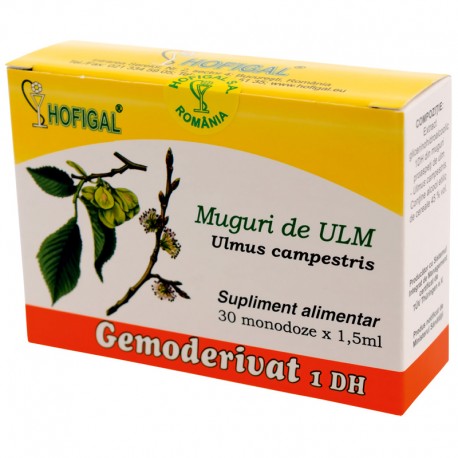 Muguri de ulm - Gemoderivat