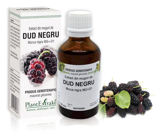 Extract din muguri de Dud negru - Morus nigra MG=D1, 50 ml
