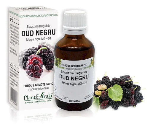 Extract din muguri de Dud negru - Morus nigra MG=D1, 50 ml