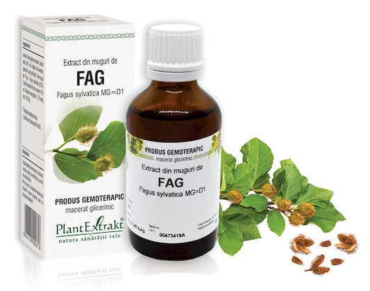 Extract din muguri de Fag - Fagus sylvatica MG=D1, 50 ml