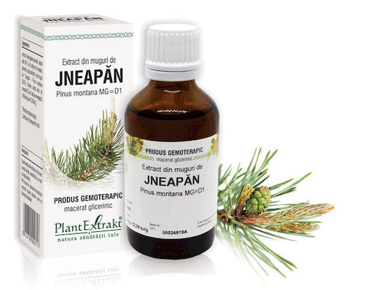 Extract din muguri de Jneapăn - Pinus montana MG=D1, 50 ml