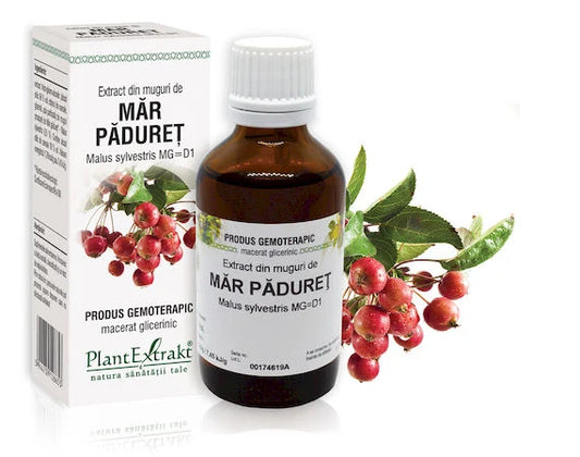 Extract din muguri de Măr pădureț - Malus sylvestris MG=D1, 50 ml