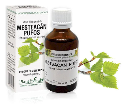 Extract din muguri de Mesteacăn pufos - Betula pubescens, 50 ml