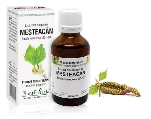 Extract din muguri de Mesteacăn - Betula verrucosa MG=D1, 50 ml