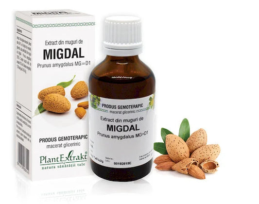 Extract din muguri de Migdal - Prunus amygdalus MG=D1, 50 ml