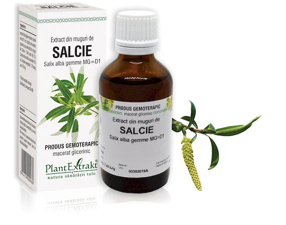 Extract din muguri de Salcie - Salix alba gemme MG=D1, 50 ml