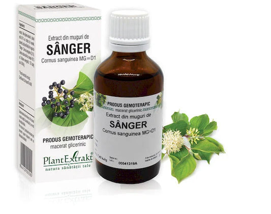 Extract din muguri de Sânger - Cornus sanguinea MG=D1, 50 ml