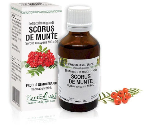 Extract din muguri de Scoruș de munte - Sorbus aucuparia MG=D1, 50 ml
