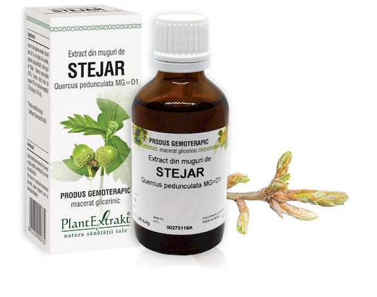 Extract din muguri de Stejar - Quercus pedunculata MG=D1, 50 ml