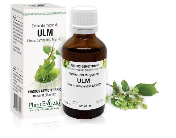 Extract din muguri de Ulm - Ulmus campestris MG=D1, 50 ml