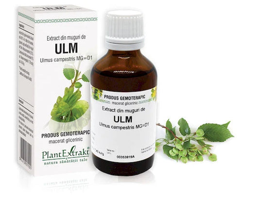 Extract din muguri de Ulm - Ulmus campestris MG=D1, 50 ml