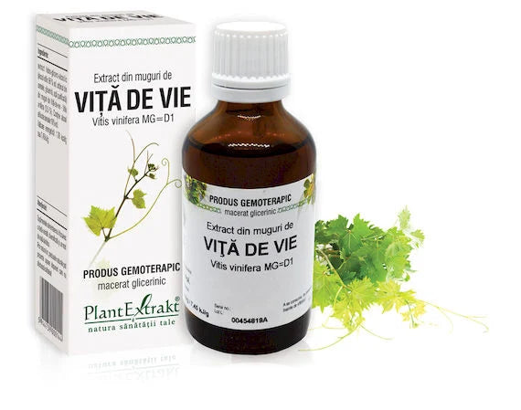 Extract din muguri de Viță de vie - Vitis vinifera MG=D1, 50 ml