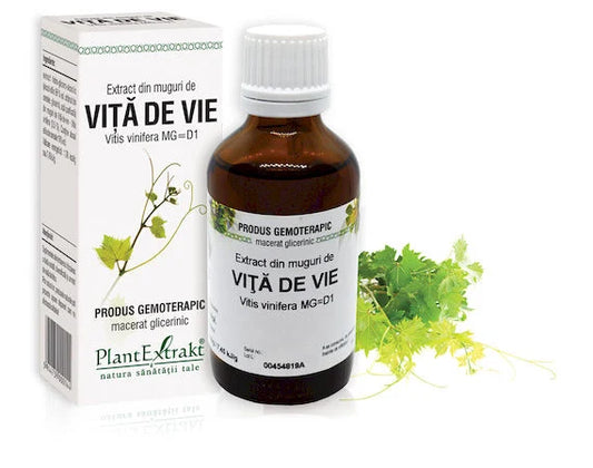 Extract din muguri de Viță de vie - Vitis vinifera MG=D1, 50 ml