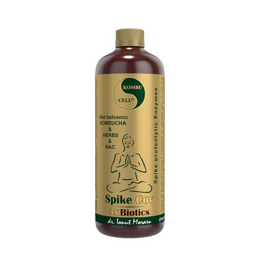 Spike Cov 3xBiotics – Otet balsamic KOMBUCHA HERBS NAC 500ml