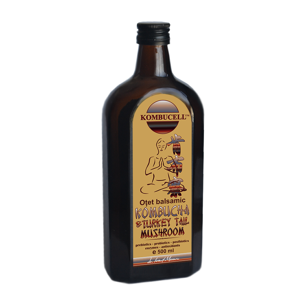 Otet Balsamic Kombucha & Turkey Tail Mushroom 500ml
