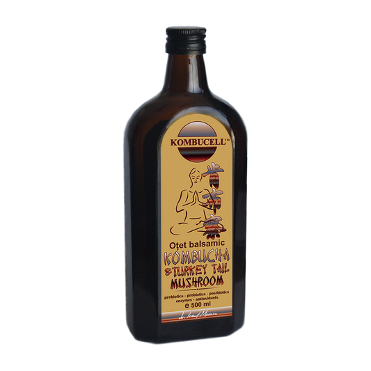 Otet Balsamic Kombucha & Turkey Tail Mushroom 500ml