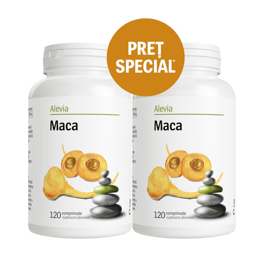 Maca Pachet