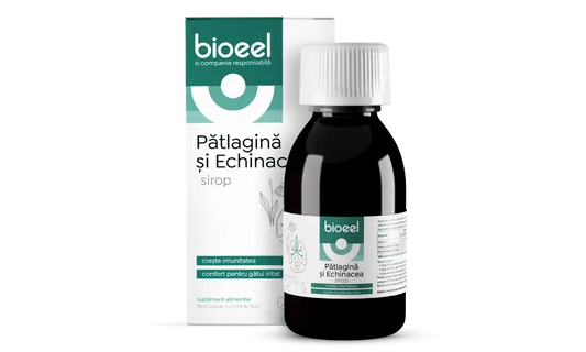 Sirop de Pătlagină și Echinacea