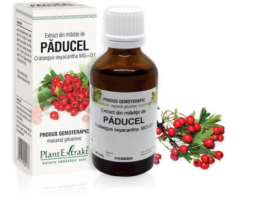 Extract din mlădiţe de Păducel - Crataegus oxyacantha MG=D1, 50 ml