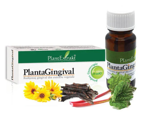 Plantagingival, 10 ml