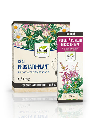 Ceai Prostato-Plant + Tinctură de Pufuliță cu flori mici și Ghimpe