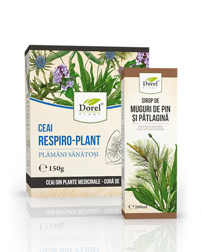 Ceai Respiro-Plant + Sirop de Muguri de pin și Pătlăgină