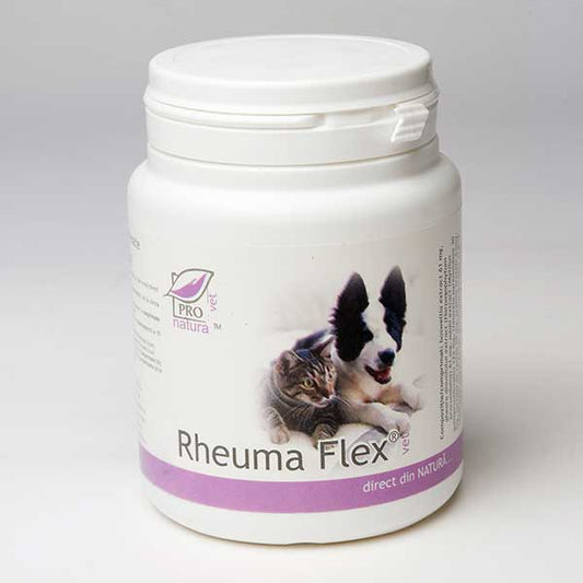 Rheuma Flex – VET 100cp