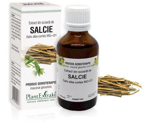 Extract din scoarță de Salcie - Salix alba cortex MG=D1, 50 ml