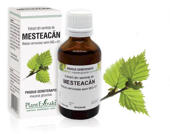 Extract din seminţe de Mesteacăn - Betula verrucosa semi MG=D1, 50 ml