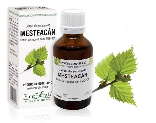 Extract din seminţe de Mesteacăn - Betula verrucosa semi MG=D1, 50 ml
