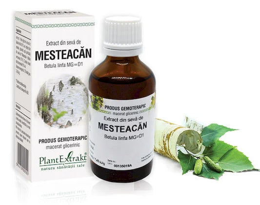 Extract din sevă de Mesteacăn - Betula linfa MG=D1, 50 ml
