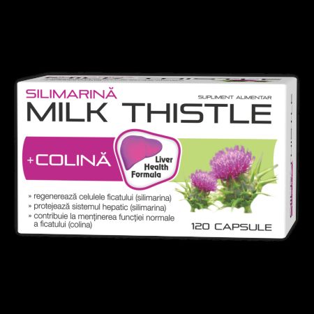 Silimarina + Colina Milk Thistle, 400 mg, 120 capsule, Zdrovit