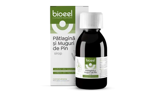 Sirop de Pătlagină și Muguri de Pin