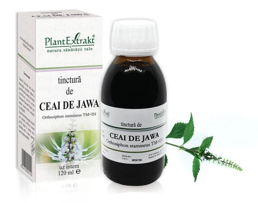 Tinctură de CEAI DE JAWA, 50 ml